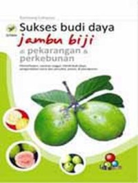 SUKSES BUDI DAYA JAMBU BIJI DI PEKARANGAN & PERKEBUNAN: PEMANFAATAN, VARIETAS UNGGUL, TEKNIK BUDI DAYA, PENGENDALIAN HAMA DAN PENYAKIT, PANEN, & PASCAPANEN