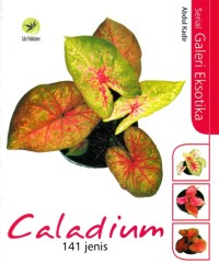 SERIAL GALERI EKSOTIKA: CALADIUM 141 JENIS