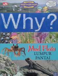 Why? Mud Flats = LUMPUR PANTAI